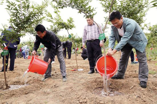 “菩提島”碑揭幕暨“百萬人認養百萬棵菩提樹(shù)”儀式在覺華島舉行